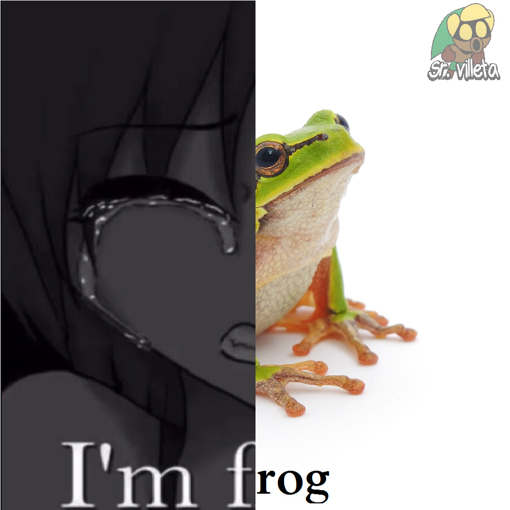 i'm frog - meme