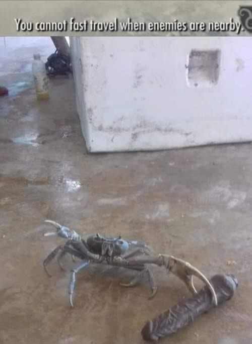 Der crab - meme