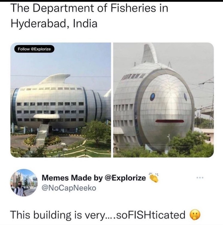 fish - meme