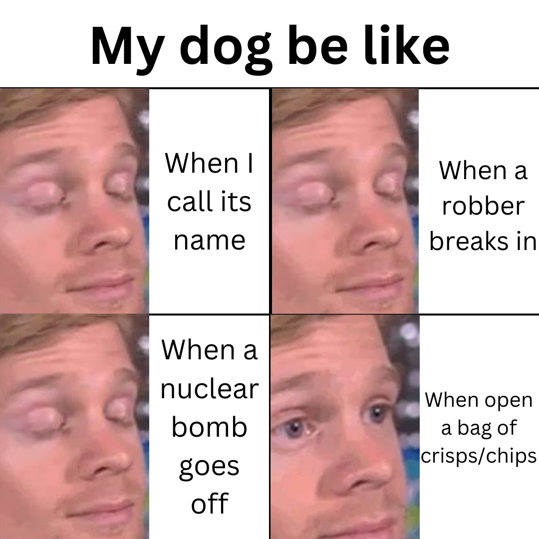 Are your dogs like this? - meme