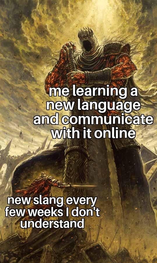Learning new languages online - meme