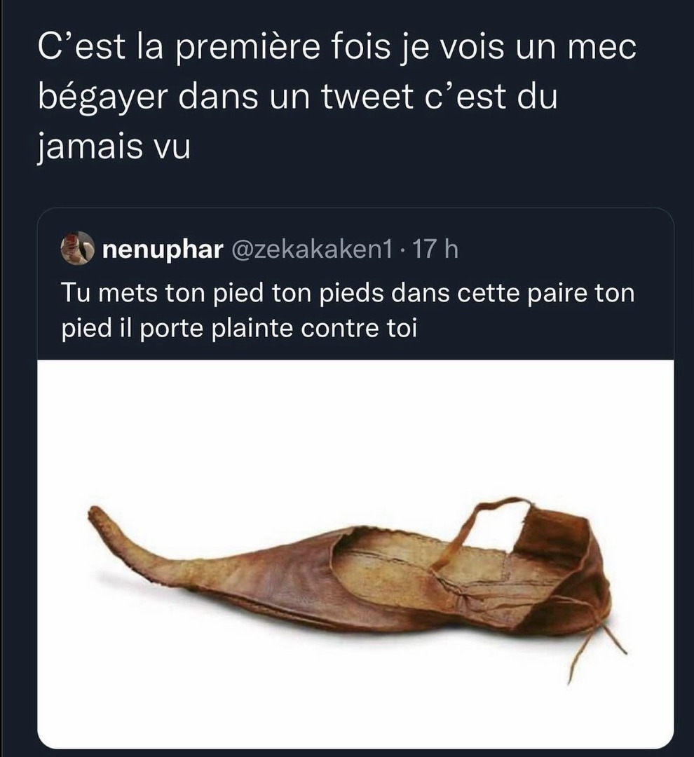 J ai cru c etait une limace dans une feuille morte jpp - meme