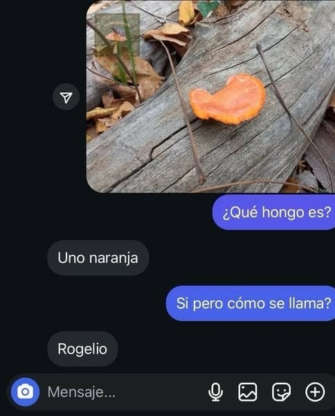 Rogelio - meme