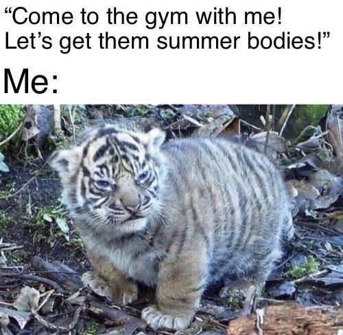 Come to the gym with me! - meme