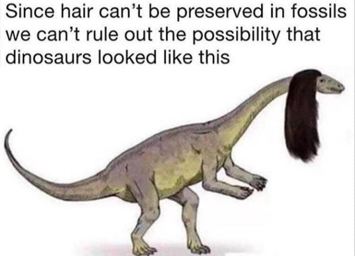 dinosaro - meme