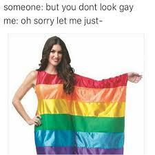 lots of gay - meme