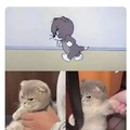 Wholesome cat from the memes