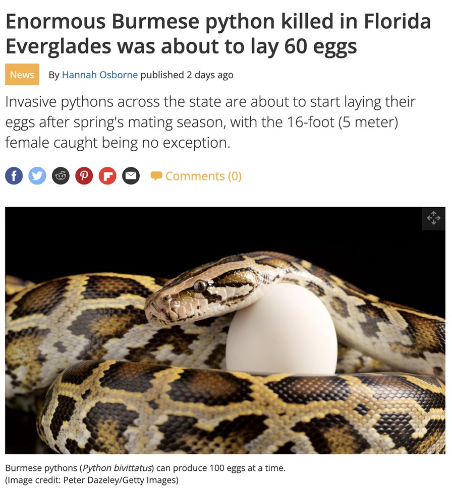 What is buddy doing in Florida? - meme
