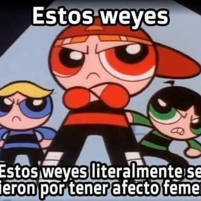 waos - meme