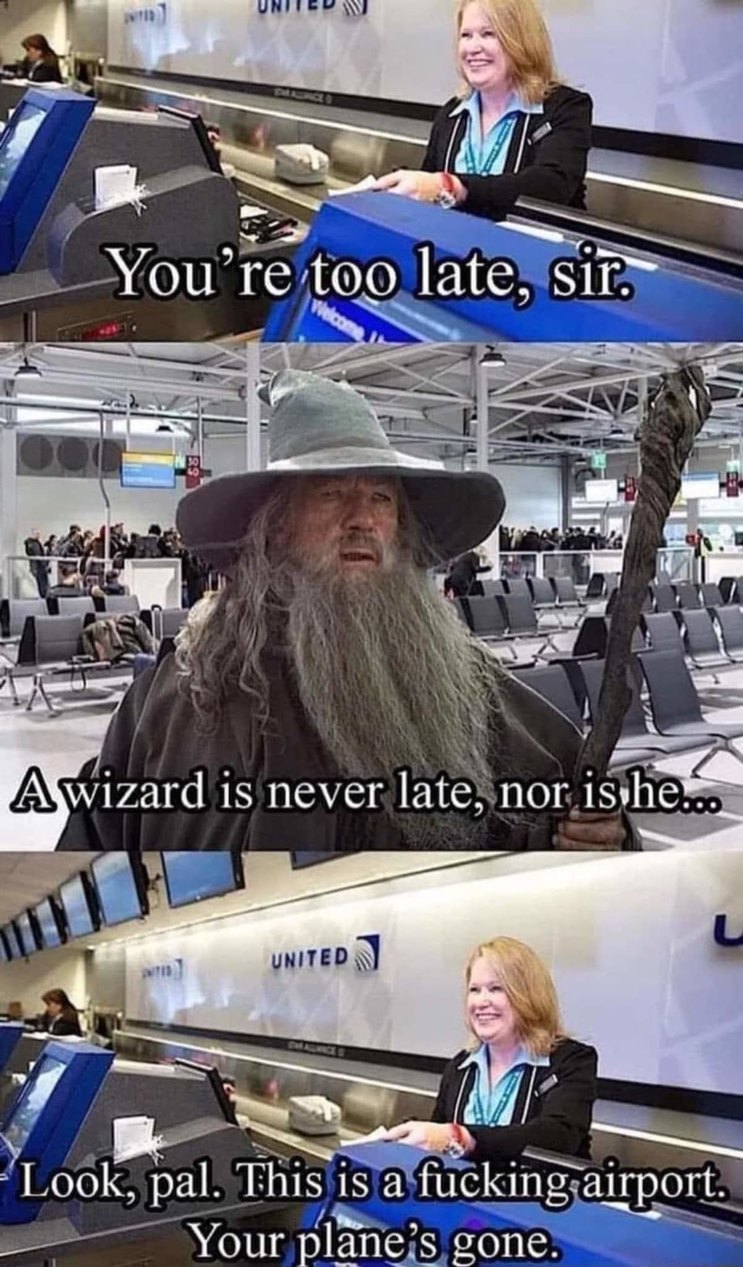 He can't fly, you fools - meme