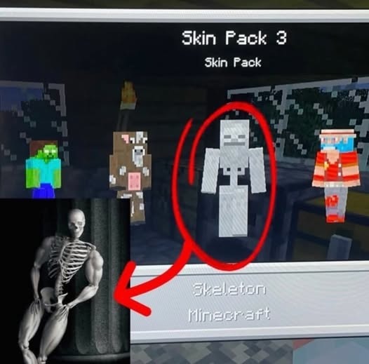 Skin do C3MiT3Ri0 - meme
