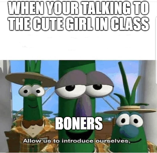 boners - meme