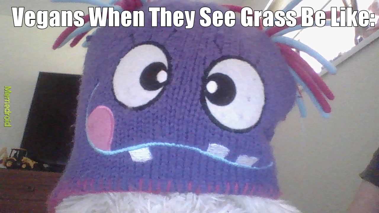 GRASS - meme