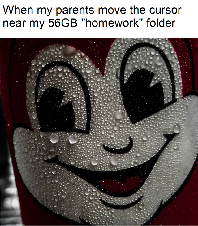 When my parents move the cursor near my 56GB homework folder - meme