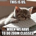 Zoom classes be like.