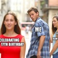 17th birthday meme