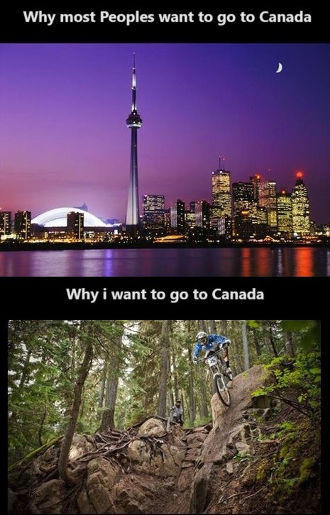 Canada is or Daredevils - meme