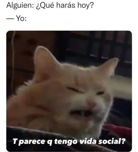 Sale plan hoy - meme