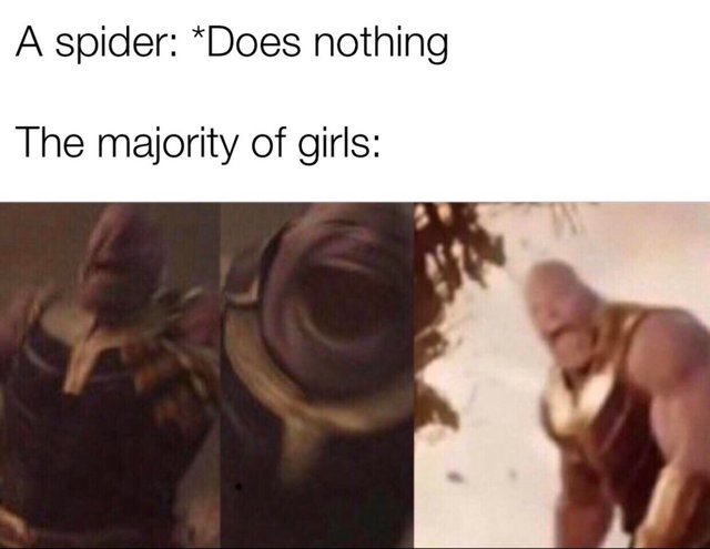 Spiders vs girls - meme