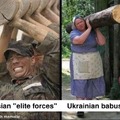 Russian Elite forces vs Ukrainian babushka
