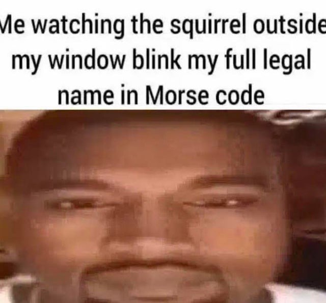 Squirrels know some shit - meme