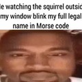 Squirrels know some shit
