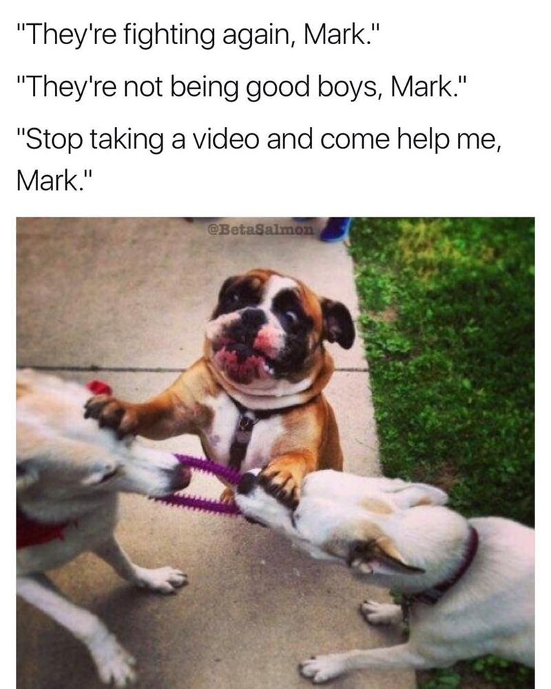 Mark! - meme