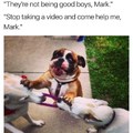 Mark!