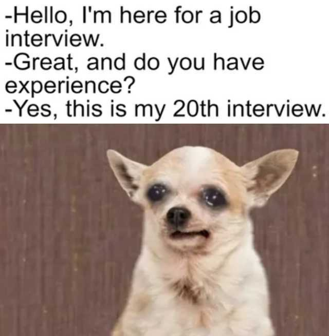 Interview time - meme