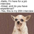 Interview time