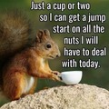 Only nuts!