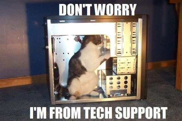 IT-Tech, certified in CAT he is. - meme