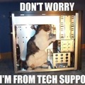 IT-Tech, certified in CAT he is.