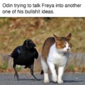 Odin and Freya meme