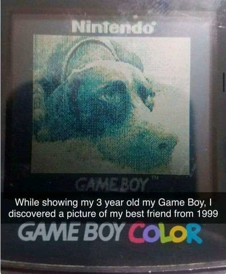 Can I borrow a gameboy printer - meme