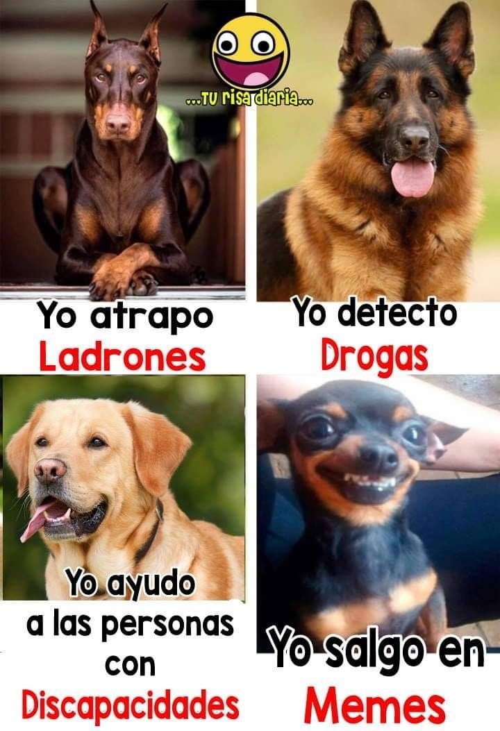 Like si es verdad - meme