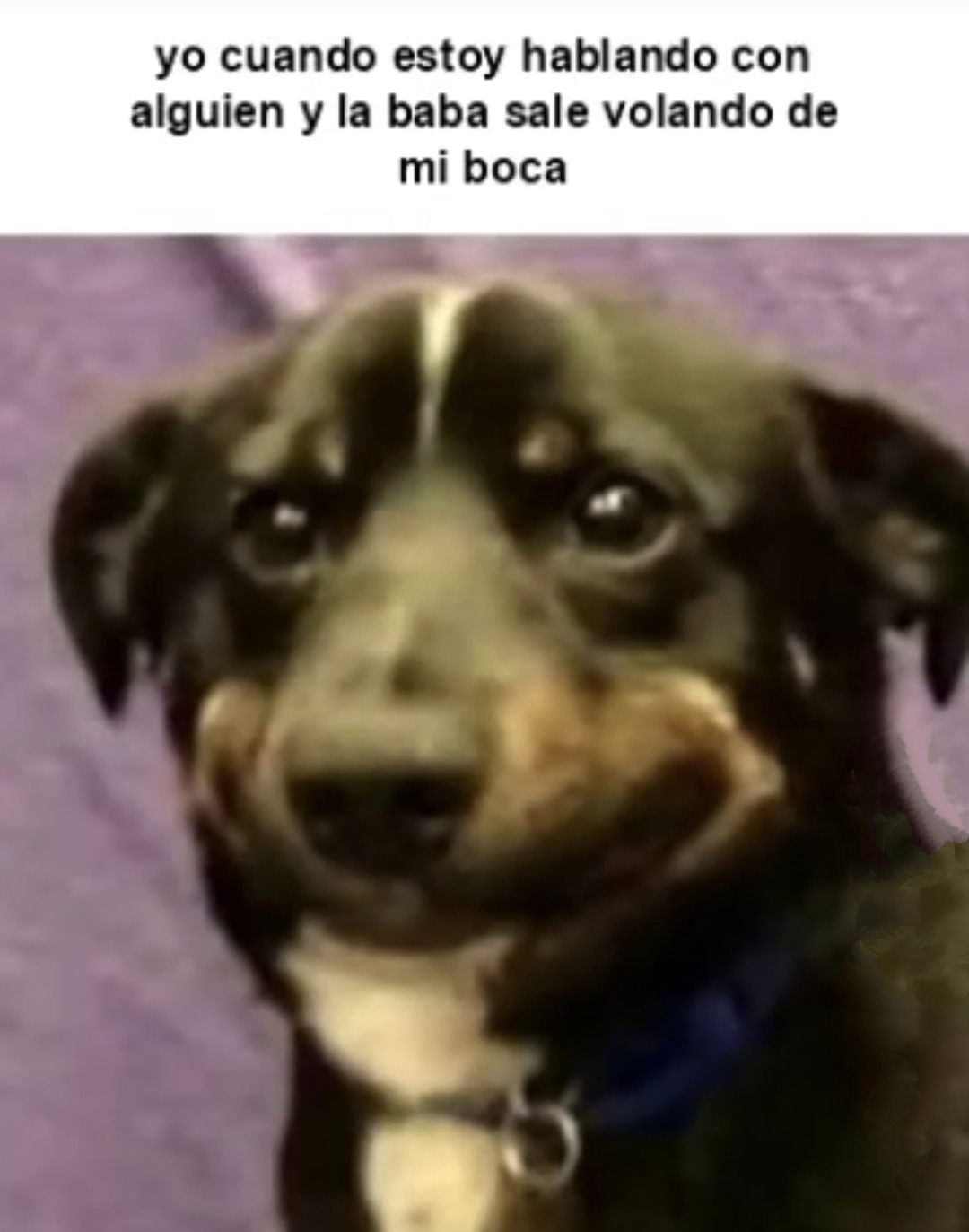 baba voladora - meme
