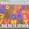 i like bob