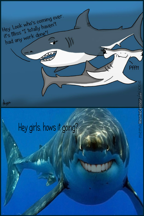 Пон акула мем. Пон акула. Акула Мем. Акула с надписью Пон. Мемы про акул.