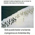 Stos pinguinos