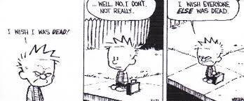 Calvin and Hobbes - meme