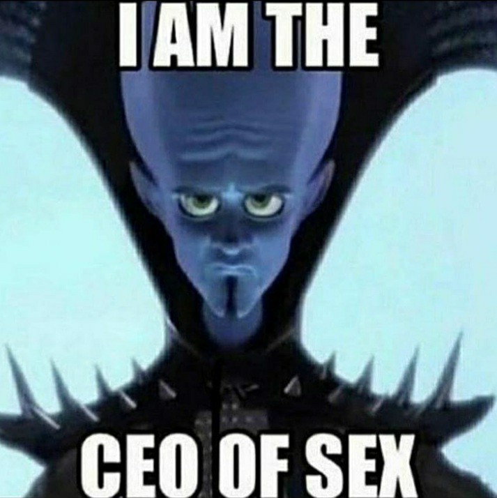 I AM THE CEO OF SEX - meme