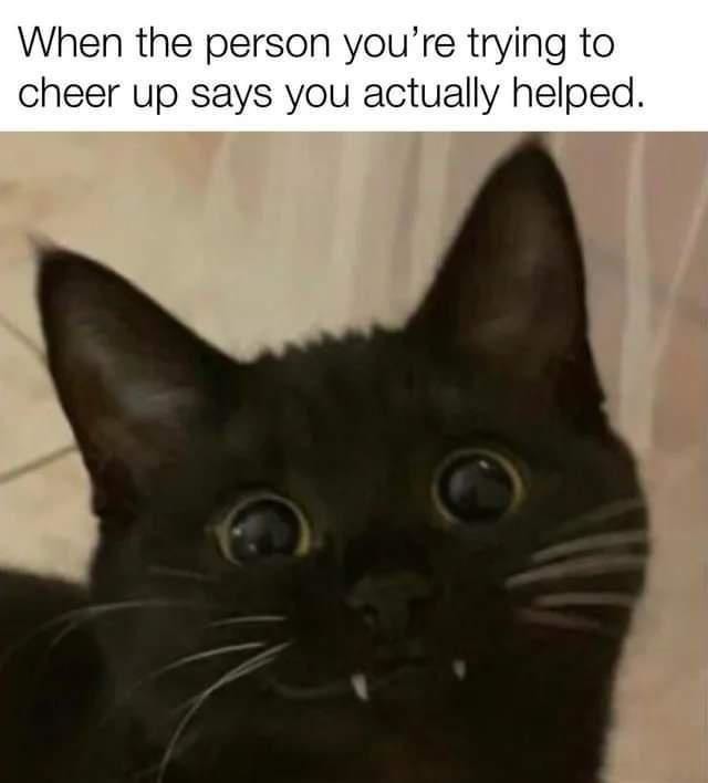 When the person you are trying to cheer up says you actually helped - meme