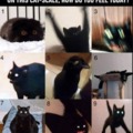 cat scale(i think its been made before tho)