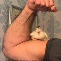 commented item thumbnail