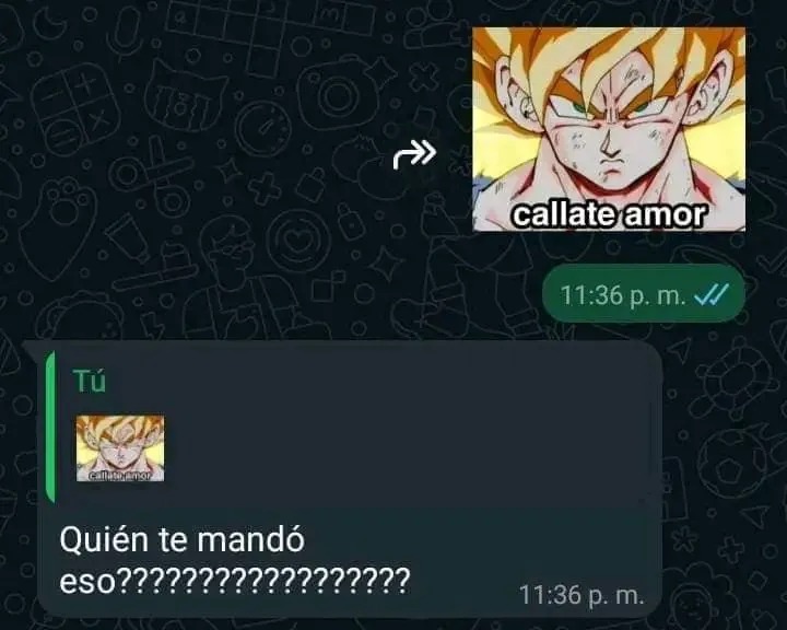 Screenshits y chats pendejos - meme