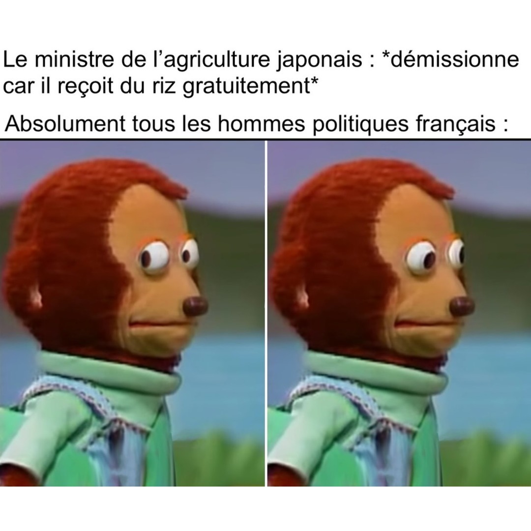 Un ministre japonais démissionne pour du riz, les nôtres ils braquent des châteaux easy - meme