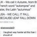 Fall vs autumn