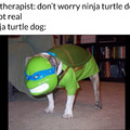 Ninja turtle dog (towards cursed images)