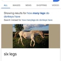 six legs